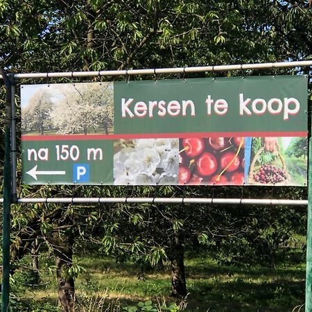 Gastenverblijf Op De Prins Hendrik Hoeve In Buren Buren (Gelderland) Exterior foto